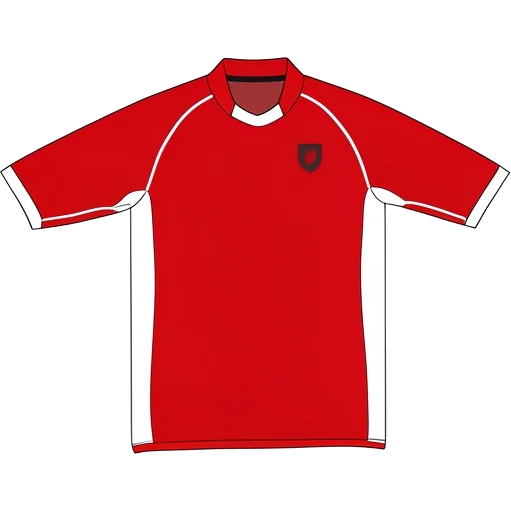 Wales 2002 Home shirt illustration, generated colours (AI illustration)