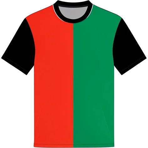 N.E.C. 2011/12 Home shirt illustration, generated colours (AI illustration)