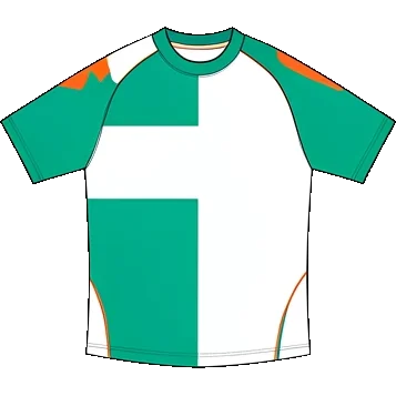 Werder Bremen 2006/07 Home shirt illustration, generated colours (AI illustration)